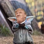 BABY YODA TEA | AREN'T I CUTE; NOPE | image tagged in baby yoda tea | made w/ Imgflip meme maker