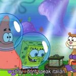 Sorry I don't speak italian meme