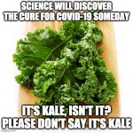 Kale Is The Cure | SCIENCE WILL DISCOVER THE CURE FOR COVID-19 SOMEDAY; IT'S KALE, ISN'T IT? PLEASE DON'T SAY IT'S KALE | image tagged in kale | made w/ Imgflip meme maker