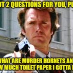 Dirty harry | I GOT 2 QUESTIONS FOR YOU, PUNK; WHAT ARE MURDER HORNETS AND HOW MUCH TOILET PAPER I GOTTA BUY | image tagged in dirty harry | made w/ Imgflip meme maker