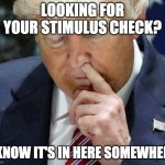 Stimulus Check | LOOKING FOR YOUR STIMULUS CHECK? I KNOW IT'S IN HERE SOMEWHERE | image tagged in trump picking his nose | made w/ Imgflip meme maker