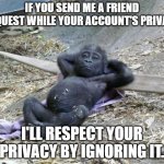 Relaxing chimp | IF YOU SEND ME A FRIEND REQUEST WHILE YOUR ACCOUNT'S PRIVATE, I'LL RESPECT YOUR PRIVACY BY IGNORING IT. | image tagged in relaxing chimp | made w/ Imgflip meme maker