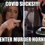 Confused Cat, screaming lady | COVID SUCKS!!!! ......ENTER MURDER HORNETS | image tagged in confused cat screaming lady | made w/ Imgflip meme maker