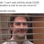 murder hornets