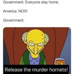 Simpsons murder hornets meme