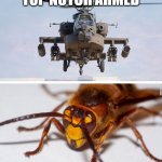 Murder hornet vs. Helicopter (military) | I BELIEVE I'M TOP NOTCH ARMED; HOLD MY BEER. | image tagged in apache helicopter gender,memes,murder hornet,weapons,hornet,military | made w/ Imgflip meme maker