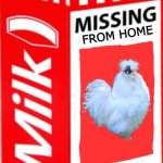 Missing | FROM HOME; FOWL PLAY 
STRONGLY SUSPECTED; CONTACT AUTHORITIES IMMEDIATELY WITH ANY INFORMATION | image tagged in missing | made w/ Imgflip meme maker