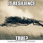 Resilience | IT RESILIENCE; TRUE? | image tagged in inspirational | made w/ Imgflip meme maker