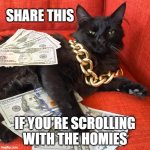 Gangster Cat | SHARE THIS; IF YOU'RE SCROLLING
WITH THE HOMIES | image tagged in gangster cat,memes,funny,gangsta,cute | made w/ Imgflip meme maker