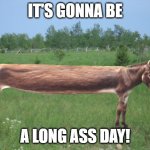 Long Ass Day | IT'S GONNA BE; A LONG ASS DAY! | image tagged in long ass day | made w/ Imgflip meme maker