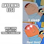 Peter Griffin | ANYTHING ELSE; WHEN I KNOW MY DOG IS IN TROUBLE IN MINECRAFT | image tagged in peter griffin sleep template | made w/ Imgflip meme maker