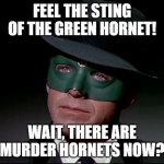 Green murder hornets | FEEL THE STING OF THE GREEN HORNET! WAIT, THERE ARE MURDER HORNETS NOW? | image tagged in green hornet | made w/ Imgflip meme maker