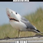 Shark bird | ARRIVING; IN JUNE | image tagged in shark bird | made w/ Imgflip meme maker