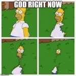 Homer Bush Meme | GOD RIGHT NOW | image tagged in homer bush meme,2020,apocalypse,coronavirus,god | made w/ Imgflip meme maker