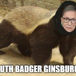 ruth badger ginsburg