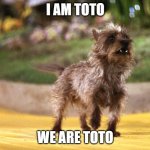 Toto Africa | I AM TOTO; WE ARE TOTO | image tagged in toto africa | made w/ Imgflip meme maker