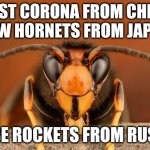Murder Hornet | FIRST CORONA FROM CHINA, NOW HORNETS FROM JAPAN, MAYBE ROCKETS FROM RUSSIA? | image tagged in murder hornet | made w/ Imgflip meme maker