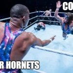 2020 right now... | COVID-19; MURDER HORNETS | image tagged in wrestling tag team,memes,2020,funny,covid-19,murder hornets | made w/ Imgflip meme maker