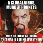 Ming the Merciless  | A GLOBAL VIRUS, MURDER HORNETS; WHY DO I HAVE A FEELING THIS MAN IS BEHIND EVERYTHING | image tagged in ming the merciless | made w/ Imgflip meme maker