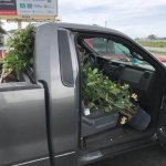 Landscaping Logic | LANDSCAPING; LOGIC | image tagged in landscaping,truck,tree,hillbilly | made w/ Imgflip meme maker