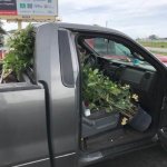 Landscaper's Logic | LANDSCAPER'S; LOGIC | image tagged in landscaping,tree,truck,hillbilly,conservatives,republicans | made w/ Imgflip meme maker