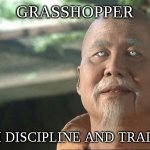 Kung Fu the Murder Hornet | GRASSHOPPER; WITH DISCIPLINE AND TRAINING | image tagged in master po,memes,fun,murder hornet,frontpage | made w/ Imgflip meme maker