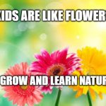 flowers | KIDS ARE LIKE FLOWERS; THEY GROW AND LEARN NATURALLY | image tagged in flowers,kids today | made w/ Imgflip meme maker