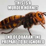 thesis a murder hornet | THIS IS A MURDER HORNET; END OF QUARANTINE  PREPARE TO BE IGNORED | image tagged in murder hornet | made w/ Imgflip meme maker