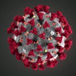 corona virus