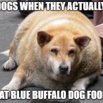 fat dog | DOGS WHEN THEY ACTUALLY; EAT BLUE BUFFALO DOG FOOD | image tagged in fat dog | made w/ Imgflip meme maker