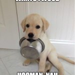 Dont abuse | DOGGO:HOOMAN,ME WANTS FWOOD; HOOMAN: NAH BROTHA STARVEEE!! | image tagged in food | made w/ Imgflip meme maker