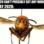 Please Stop | 2020 CAN'T POSSIBLY GET ANY WORSE; MAY 2020: | image tagged in murder hornet | made w/ Imgflip meme maker