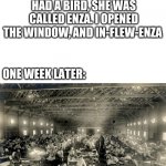when songs kill 120 million people | SOME GIRLS: SINGS A SONG THAT WENT '' I HAD A BIRD, SHE WAS CALLED ENZA. I OPENED THE WINDOW, AND IN-FLEW-ENZA; ONE WEEK LATER: | image tagged in the 1918-1920 influenza pandemic in kansas,spanish flu,songs,birds,pandemic,virus | made w/ Imgflip meme maker