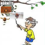 Don't do it.. | MURDER HORNETS; JUST A HONEYBEE NEST | image tagged in tapping hornets nest,funny,meme,murder hornet,bad idea | made w/ Imgflip meme maker