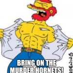 Groundskeeper Willie | BRING ON THE MURDER HORNETS! | image tagged in groundskeeper willie | made w/ Imgflip meme maker