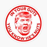 In your guts you know trump is nuts