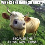 Daily Bad Dad Joke May 9 and 10 2020 | WHY IS THE BARN SO NOISY? BECAUSE THE COWS HAVE HORNS | image tagged in cow | made w/ Imgflip meme maker