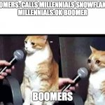 sad cat interview | BOOMERS: CALLS MILLENNIALS SNOWFLAKES.
MILLENNIALS:OK BOOMER; BOOMERS | image tagged in sad cat interview | made w/ Imgflip meme maker