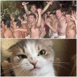 Naked men vs Cat