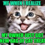 happy cat | ME WHEN I REALIZE; MY OWNER JUST GOT A NEW BAG OF CAT TREATS | image tagged in happy cat | made w/ Imgflip meme maker