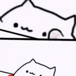 Kitty Decisions meme
