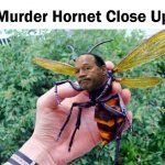 OJ Simpson Murder Hornet Close Up