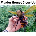 OJ Simpson Murder Hornet Close Up | image tagged in oj simpson murder hornet close up | made w/ Imgflip meme maker