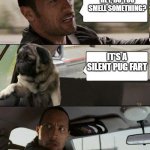 Rock driving Pug | HEY, DO YOU SMELL SOMETHING? IT'S A SILENT PUG FART | image tagged in rock driving pug | made w/ Imgflip meme maker