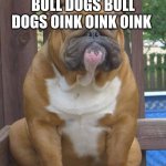 English bull dog | BULL DOGS BULL DOGS OINK OINK OINK | image tagged in english bull dog | made w/ Imgflip meme maker