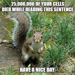 Squirrel | 25,000,000 OF YOUR CELLS DIED WHILE READING THIS SENTENCE; HAVE A NICE DAY | image tagged in squirrel,funny,funny animals | made w/ Imgflip meme maker