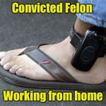 A lot of non-felons are just “doing time” at work | Convicted Felon; Working from home | image tagged in ankle bracelet,jail,working from home | made w/ Imgflip meme maker