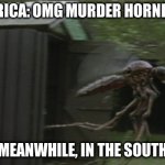 Southern Mosquitos | AMERICA: OMG MURDER HORNETS!!! MEANWHILE, IN THE SOUTH | image tagged in southern mosquito | made w/ Imgflip meme maker