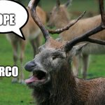 Disgusted Deer | NOPE; HARCO | image tagged in disgusted deer | made w/ Imgflip meme maker
