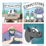 cow milking contest meme